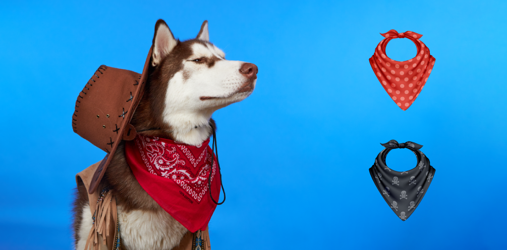 Dog-Bandanas